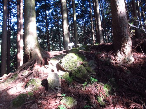 登山口